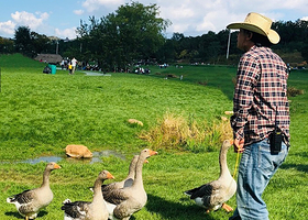 大连棒棰岛+金石滩度假区+老虎滩海洋公园六日游【三寰牧场萌宠互动|无购物无自费|行程宽松|3钻酒店全程不拼团】