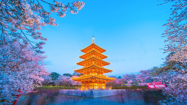 武汉东湖磨山 东湖樱园 东湖绿道 听涛景区 黄鹤楼 户部巷 武汉大学