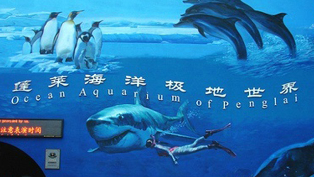 海上游 蓬莱海洋极地世界一日游【精品纯玩/6人小团可选】,一日游门票