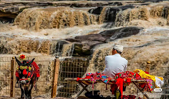 延安壶口瀑布+延安黄帝陵一日游【延安出发+三人起发+纯玩无购物】