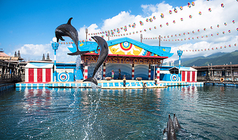 分界洲岛【纯玩私家团丨长辈儿童特惠丨可选加猴岛丨专车不拼车上门接送】