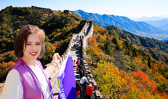 北京慕田峪长城一日游【25人精品团◆8点/9点班次◆纯玩无购物◆4小时游玩时间◆可选五环上门接◆散团观鸟巢】