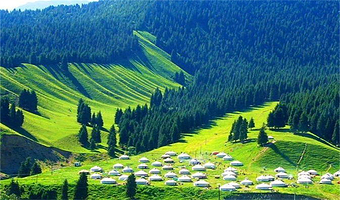 乌鲁木齐南山牧场+西白杨沟景区一日游【纯玩无购物/小团市区酒店可上门接送/大团赠送风味午餐】