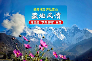 纳木措+雅鲁藏布大峡谷+南迦巴瓦峰+羊卓雍错四日游【东环线4+拼小团】