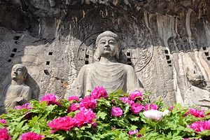 少林寺+塔林+龙门石窟+卢舍那大佛一日游【销量千份0差评+三环内接+导游精讲+不进店含耳麦】