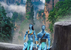 张家界国家森林公园一日游【可选VIP免排队 8人/25人团 导游、接送、VIP、门票自由组合 东门进出】