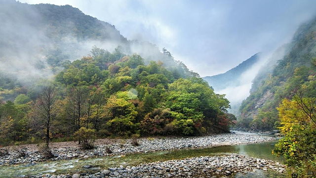 黑河国家森林公园一日游【春风送暖/茱萸花海/踏青好去处/精致小团
