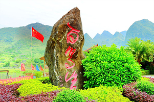 巴马百鸟岩+百魔洞+长寿村二日游【纯玩无购物/含住宿含餐/探秘长寿圣地·养生天堂】