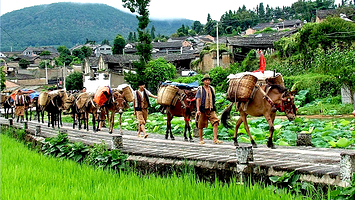 和顺古镇+腾冲热海风景区+北海湿地三日游【3天2晚独立小团 赠腾冲森林温泉】