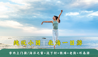 北海环岛游+北海海洋之窗+北海银滩+老街+流下村一日游【0购物纯玩小团+市内上门接+天天发团】