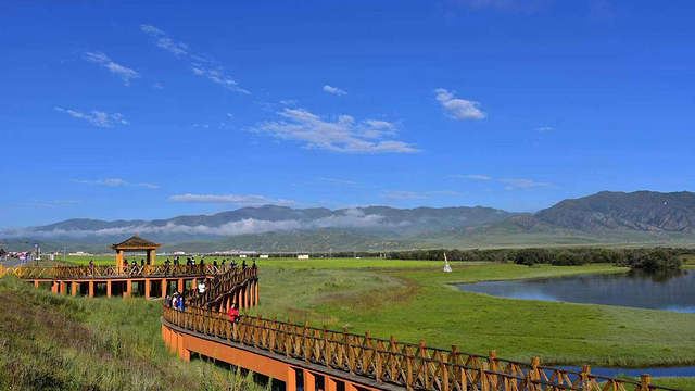 甘南米拉日巴佛阁 扎尕那景区 若尔盖花湖 瓦切塔林 月亮湾 郎木寺 桑