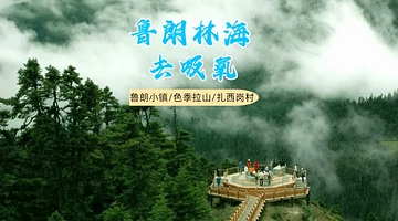 林芝鲁朗林海+鲁朗国际旅游小镇+色季拉一日游【南迦巴瓦峰.扎西岗村/商务纯玩团/市区接送】