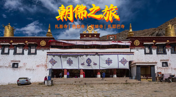 色拉寺一日游【【色拉寺观辩经丨哲蚌寺/扎耶巴寺/可搭丨8人小团导游讲解朝佛之旅】】