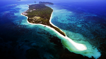 马来西亚 沙巴美人鱼岛+红树林一日游【中文导游+自助餐+可选浮潜或深潜+长鼻猴+萤火虫】