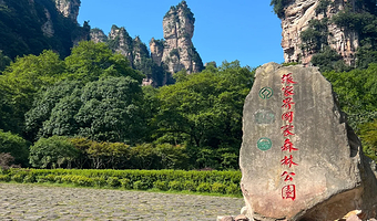 张家界国家森林公园一日游【8人VIP品质团|快速入园|环保车快速通道|袁家界|阿凡达|金鞭溪|十里画廊】