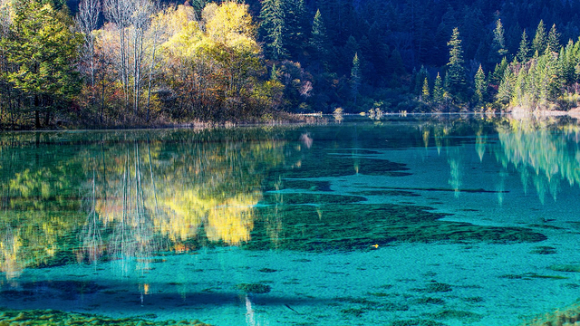成都九寨沟八日游【九寨沟 黄龙 峨眉山 乐山大佛 青城山】,一日游门