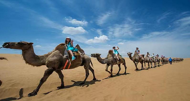 一日游【鄂尔多斯响沙湾一日游【门票＋索道＋仙沙岛+冲沙骑骆驼】