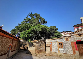 福建泉州南少林+洛阳桥+蟳埔村+崇武武城+西沙湾一日游【纯玩包车/上门接送/可咨询自由定制多日游包车行程】