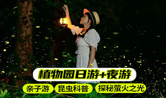 中国科学院西双版纳热带植物园一日游【日游+夜游植物园|可选夜游|探秘萤火之光|探秘植物王国】