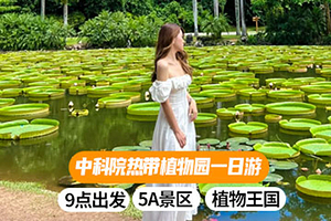 中科院西双版纳热带植物园一日游【9点晚出发|可选植物园讲解深度|纯玩无购物|探索植物王国】