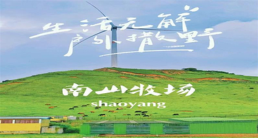 乌鲁木齐南山牧场+西白杨沟一日游【乌拉斯台草原+神布拉克瀑布/品质纯玩/天然氧吧/天天发团/含餐+多上车点选】