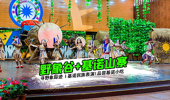 野象谷+基诺山寨一日游【含往返车+门票+0购物品质团】