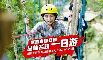 【私家团】西双版纳原始森林公园丛林飞跃一日游【含市区酒店接送★6人内小团★丛林飞跃挑战★大冒险★孔雀放飞】