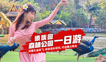 【私家团】西双版纳原始森林公园+傣族园一日游【品质出游★原始森林孔雀放飞★泼水大狂欢★最原始傣族村寨】
