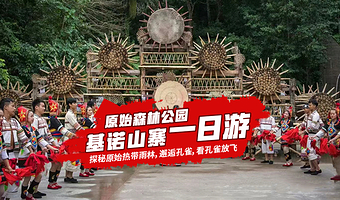 【私家团】西双版纳基诺山寨+原始森林公园一日游【上门接送★严选司机★真纯玩0购物★领略基诺文化】