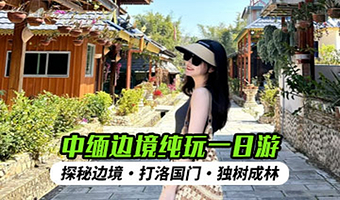 西双版纳极边第一村龙利景区+中缅国门+独树成林一日游【游极边第一村龙利村/打卡国门/中缅边境一日游】
