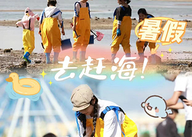 青岛崂山一日游【仰口+太清浏览区一日游丨纯玩无购物【赶海+青山渔村+环海公路丨市区上门接送/套餐可选小团】】