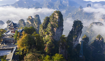 【2-8人VIP精致小团】张家界国家森林公园袁家界+杨家界+天子山+十里画廊+金鞭溪+黄石寨纯玩品质二日游