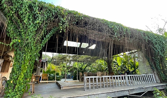 【私家团】西双版纳傣族园+曼远村一日游/泼水狂欢+向往的生活打卡+精品线路+傣家村寨+一单一团