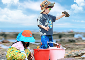 厦门小嶝岛二日游【小嶝岛赶海抓蟹海鲜餐亲子游含酒店住宿接站】