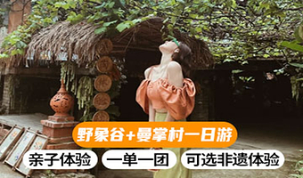 【私家团】野象谷+曼掌村一日游【大象科普+含1项非遗体验 亲子游】