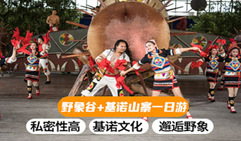 西双版纳野象谷+基诺山寨一日游【大象科普+探秘基诺族+独立成团+市区上门接送 +品质保障】