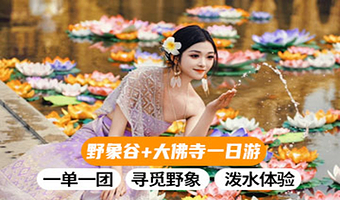 西双版纳野象谷+勐泐文化旅游区一日游【大象科普+仰看吉祥大佛+独立成团+市区上门接送 +品质保障】