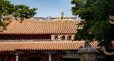 泉州开元寺/海外交通史博物馆精讲解1.5小时