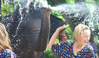 清迈康达大象保护营一日游【kanta|帮大象洗澡+泥巴浴+喂食大象+接送+英文向导】