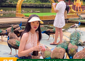 野象谷+西双版纳原始森林公园一日游【拒绝低价购物游等套路+0购物+偶偶野象+孔雀放飞+大V导游】