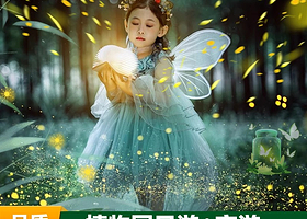 中国科学院西双版纳热带植物园一日游【日游+夜游品质纯玩 13:45点晚出发+深度体验+夜游科普老师分组讲解】