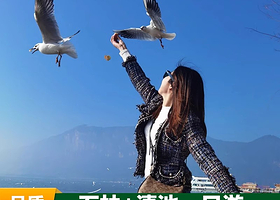 石林风景区+滇池一日游【二环内接·9点晚出发+可选15人精品团+资深导游+风味中餐+轻奢纯玩安心游】