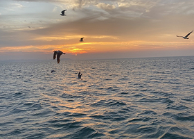 山东威海出海3小时海钓+喂海鸥体验【含鱼竿鱼饵+收货免费带走+免费喂食海鸥】