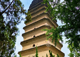 西安博物院+华夏文旅 《驼铃传奇》秀一日游【西安博物院（小雁塔）人工讲解+西安驼铃传奇秀演出】