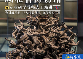 湖北省博物馆人工精讲2h/3h深度游览荆楚文化