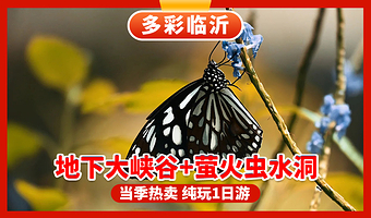 临沂地下大峡谷+萤火虫水洞一日游【临沂发-地下大峡谷+萤火虫水洞（赠游船）+蝴蝶谷一日游】