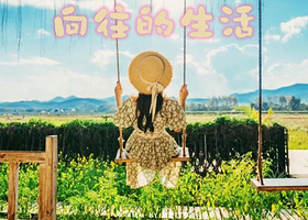 【拼小团】西双版纳野象谷+曼远村一日游【严选司机 出行自由 轻松出行 寻觅野象踪迹 科普大象生活习性 】