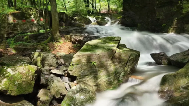 龙溪谷 青山沟 丹东中朝边境二日游【沈阳起止森林密境】,一日游门票