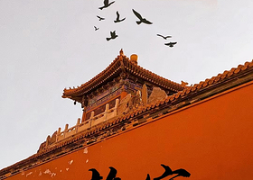 北京故宫博物院+升旗仪式+故宫珍宝馆+故宫钟表馆一日游【可选五环内上门接·导游3.5h精讲·赠无线耳麦】