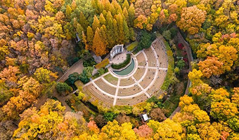 南京总统府+中山陵景区+音乐台+美龄宫+明孝陵+夫子庙一日游【9人拼小团+门票全含+漫步梧桐大道】